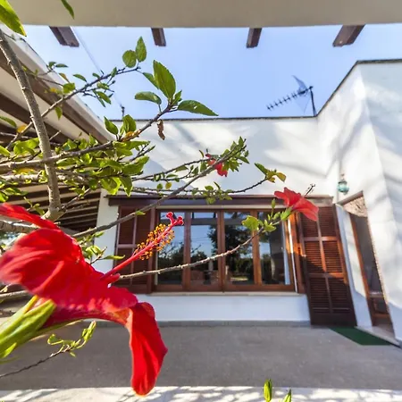 Villa Sa Rota De L'avi - Colombas